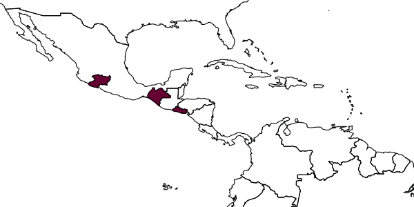 map of Apenesia tarascana     Evans, 1963